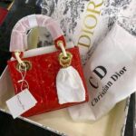 Brand New luxury handbags